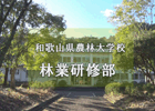 令和3年度和歌山県農林大学校林業研修部PR動画の画像